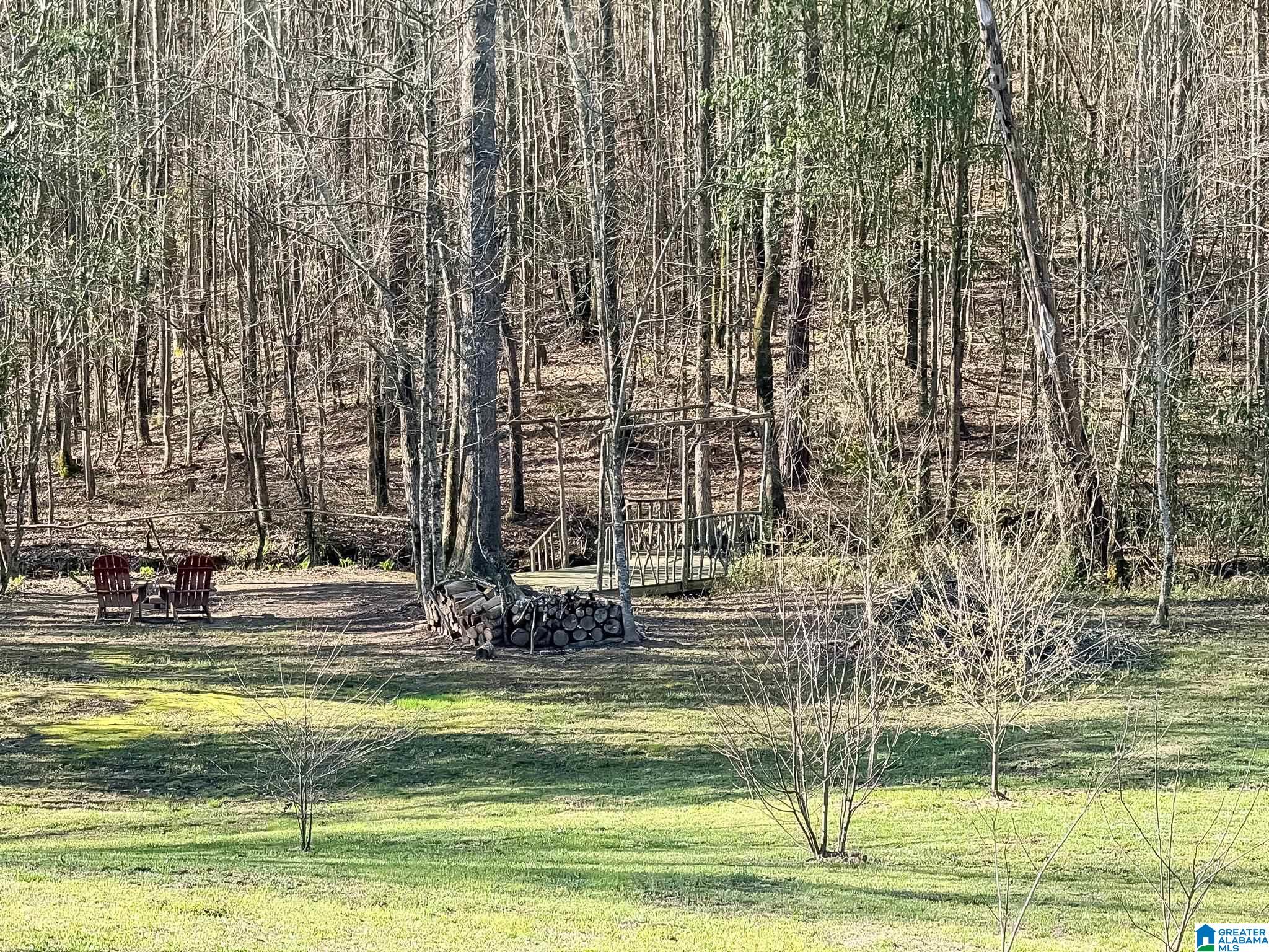 120 Poplar Ridge Ashland, AL 36251 - Photo 48 of 50