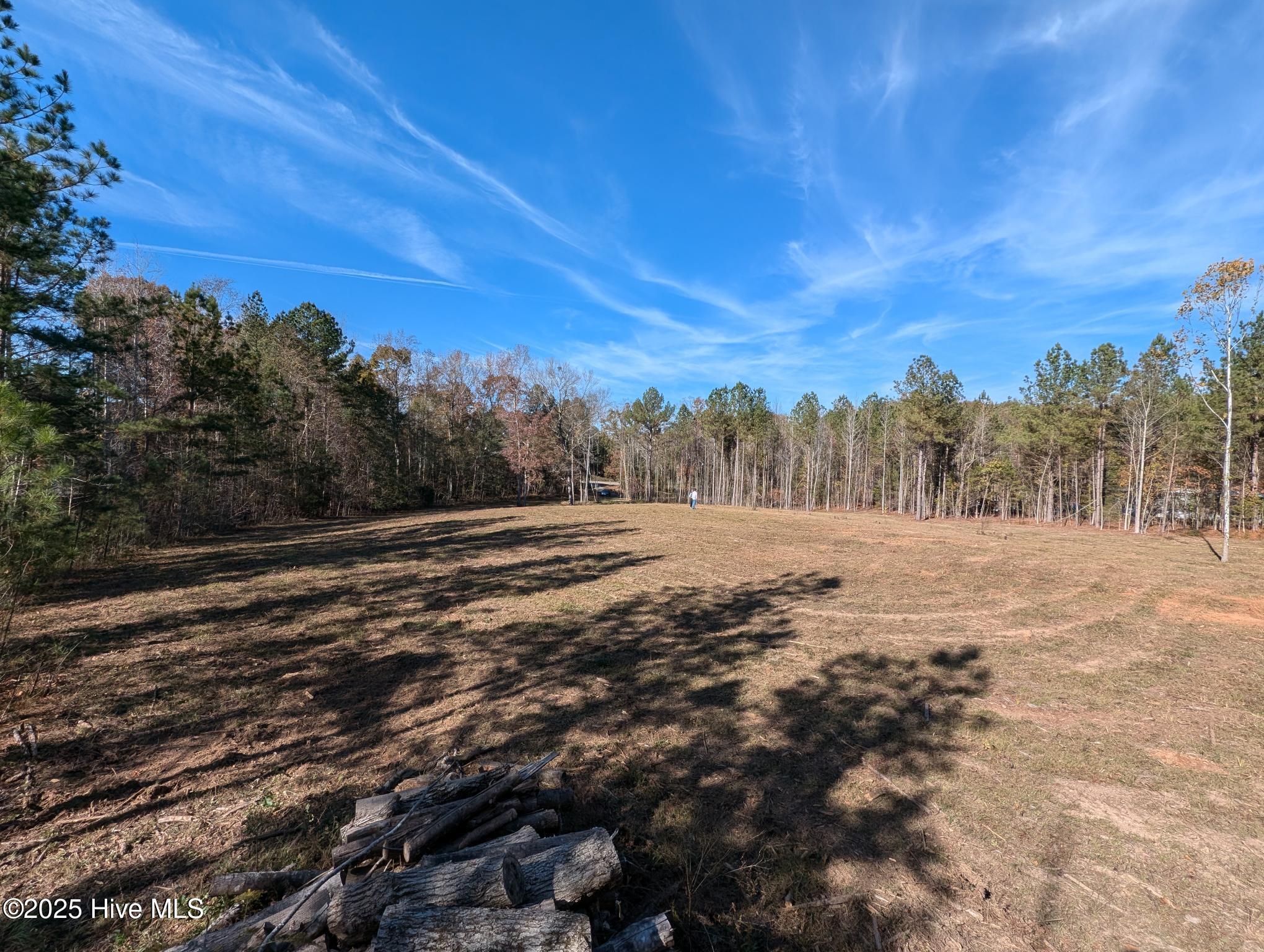 654 Summit Street Carthage, NC 28327 - Photo 8 of 9 1000000879