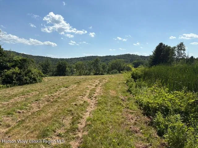 a view of a big yard with lots of green space and mountain view
