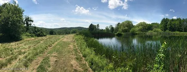 a view of a lake with green space