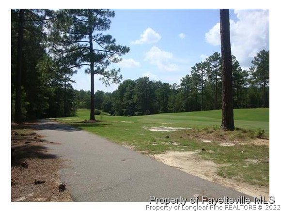 3 Buckhorn Road Jackson Springs, NC 27281 - Photo 12 of 12 Gallery Image 12
