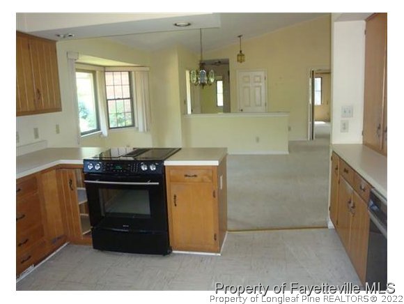 3 Buckhorn Road Jackson Springs, NC 27281 - Photo 9 of 12 Gallery Image 9
