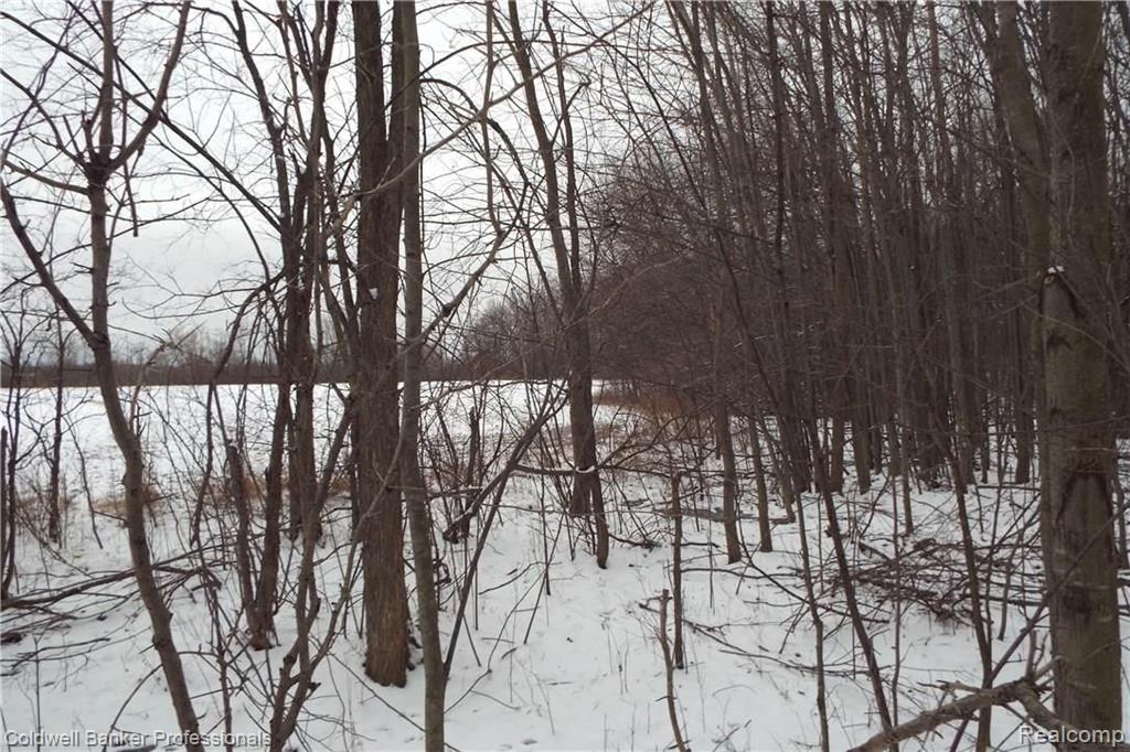 Eight West Eight Mile Road South Lyon, MI 48178 - Photo 36 of 58
