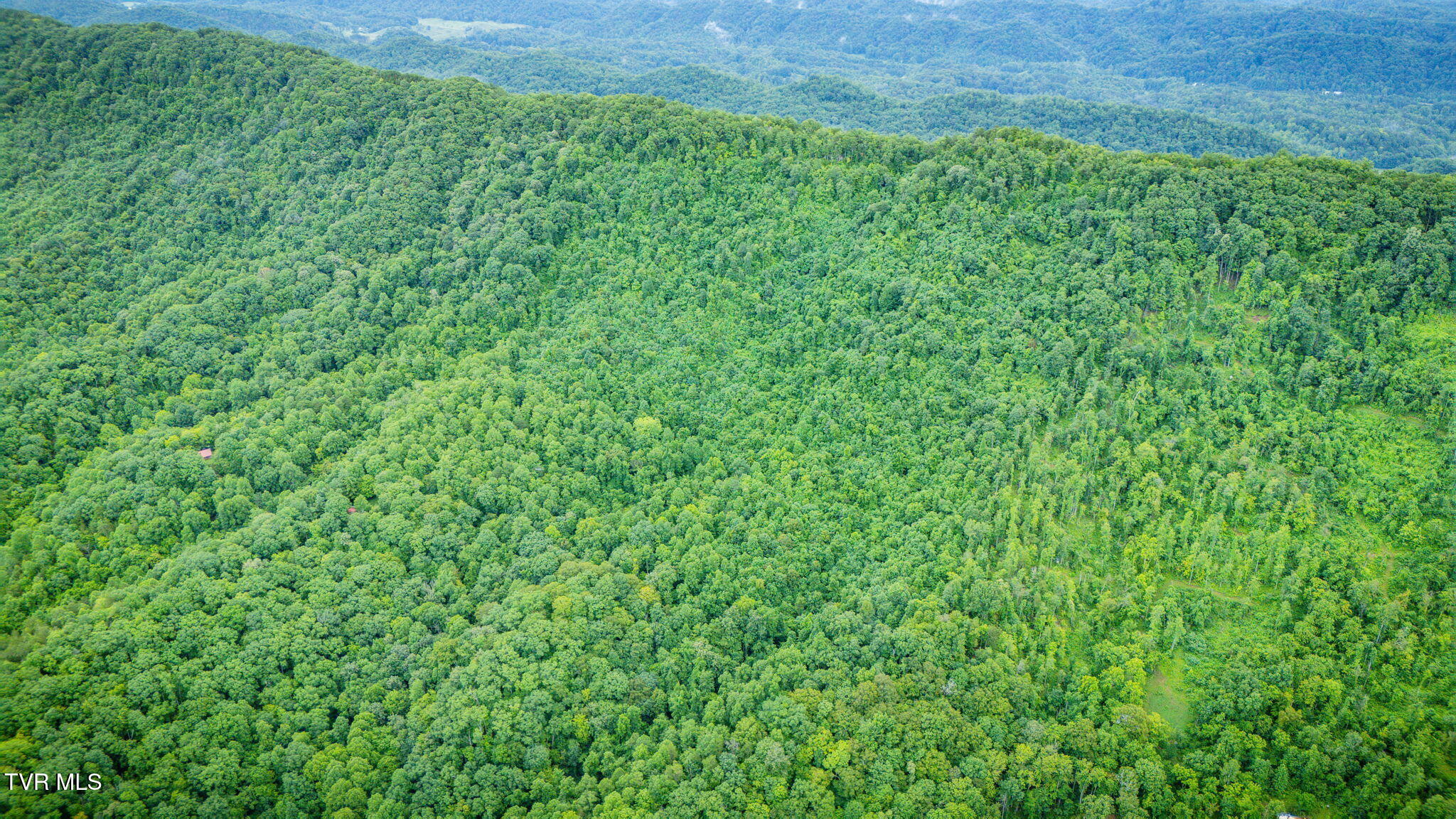 Tbd Clinch Mountain Road Eidson, TN 37731 - Photo 37 of 46 104