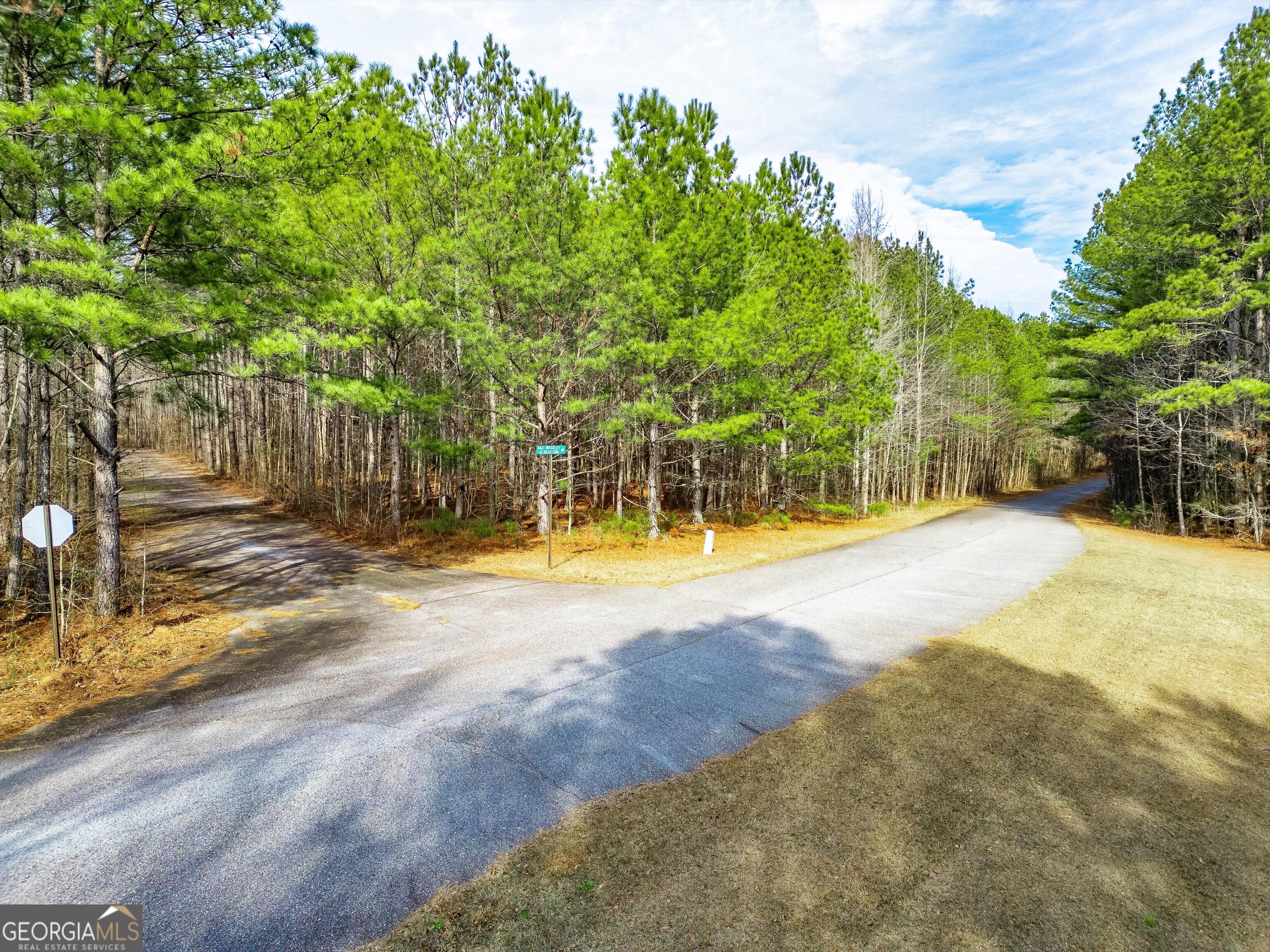 467 Rivers Road Fayetteville, GA 30214 - Photo 11 of 19 a view of a swimming pool with an outdoor space