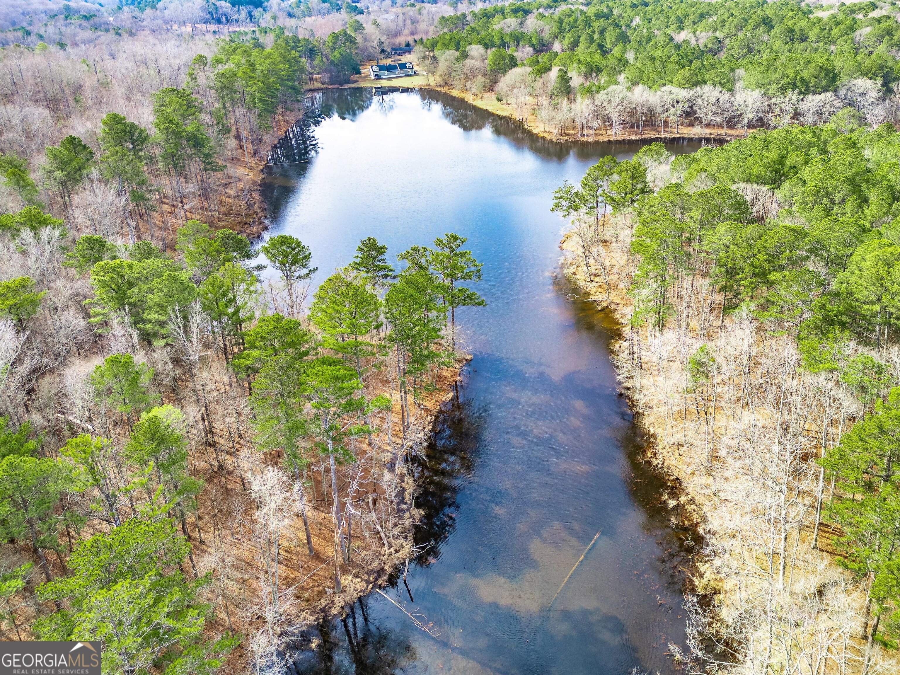 467 Rivers Road Fayetteville, GA 30214 - Photo 16 of 19 a view of a lake with a yard