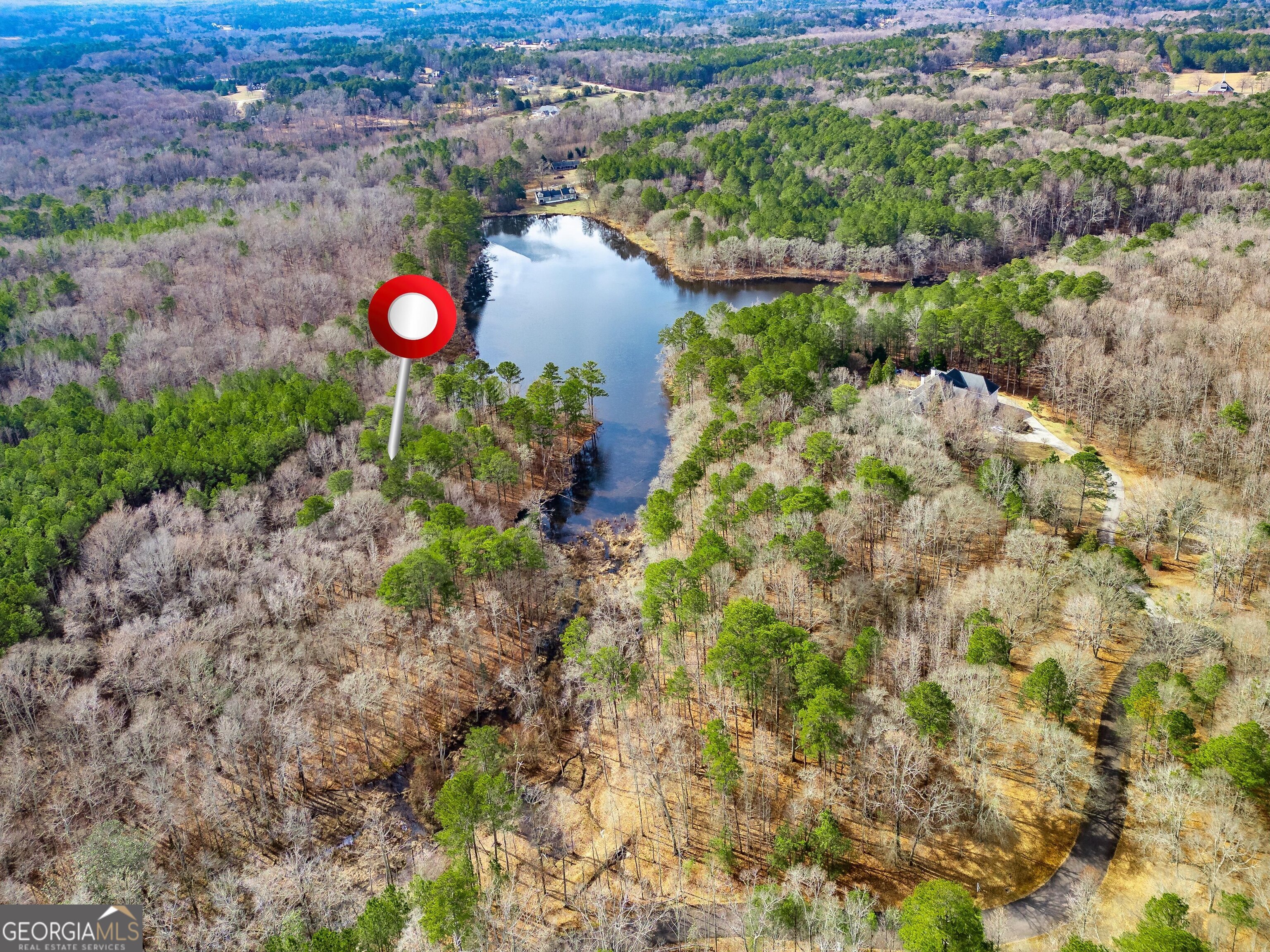 467 Rivers Road Fayetteville, GA 30214 - Photo 17 of 19 a view of a and covered with trees