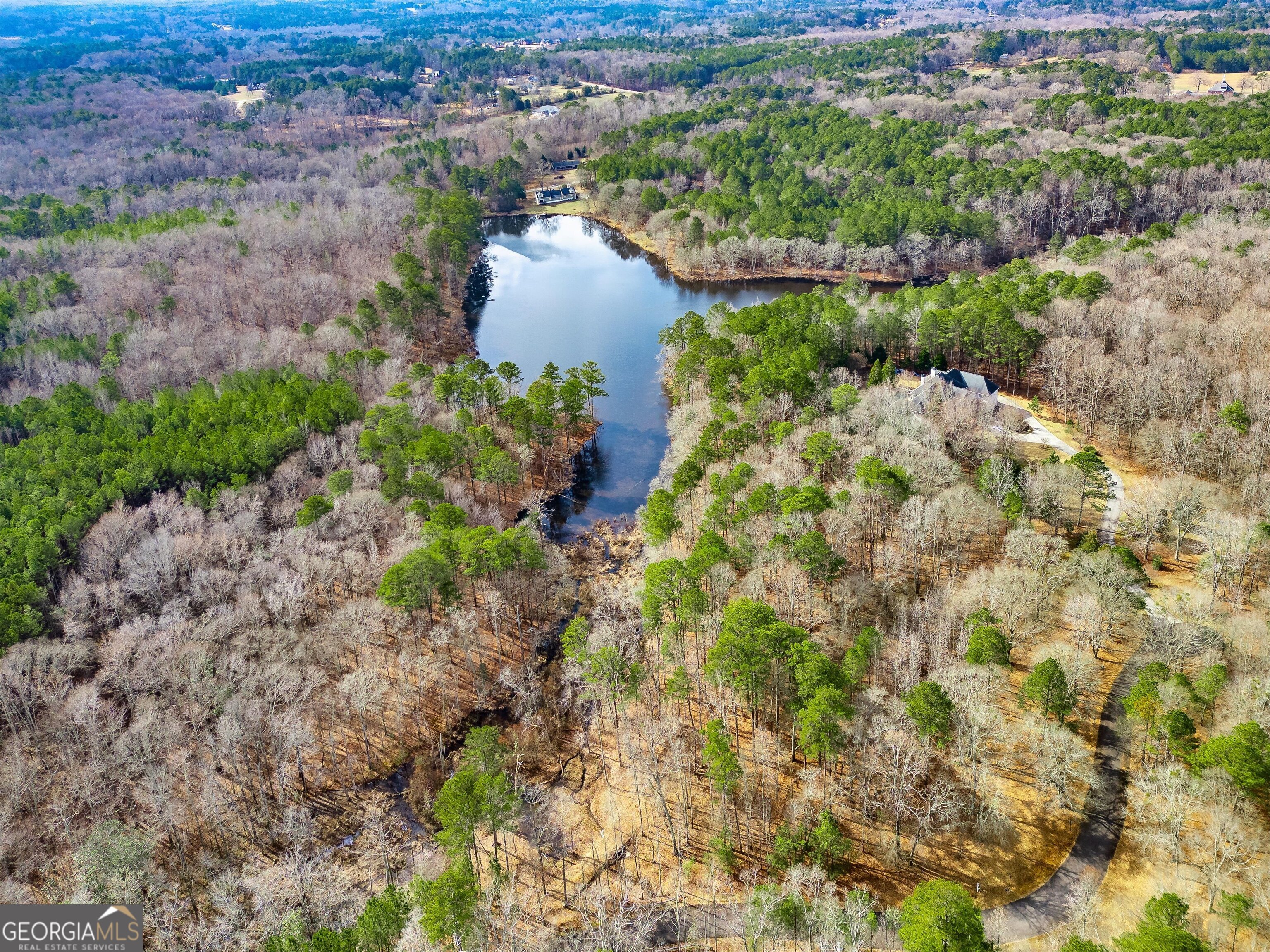 467 Rivers Road Fayetteville, GA 30214 - Photo 18 of 19 a view of a lake with large trees