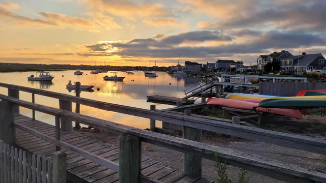 a view of a backyard with plants