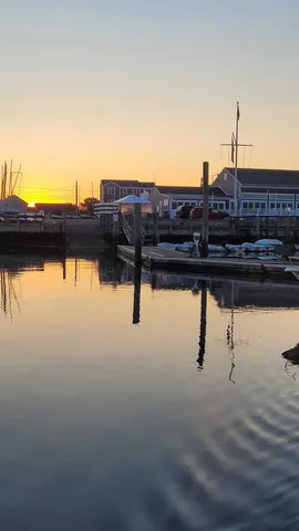 a view of a house with a small yard and plants