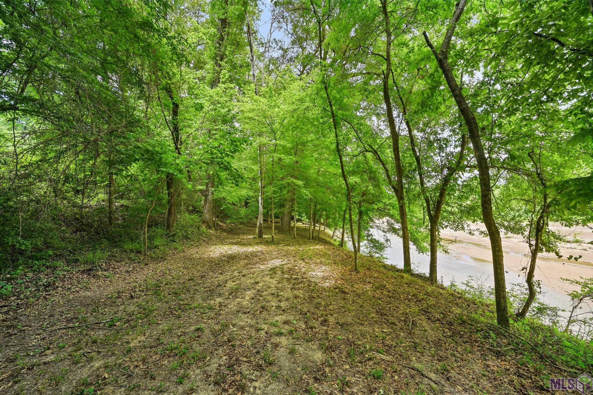 9836 Sligo Road St. Francisville, LA 70775 - Photo 42 of 55