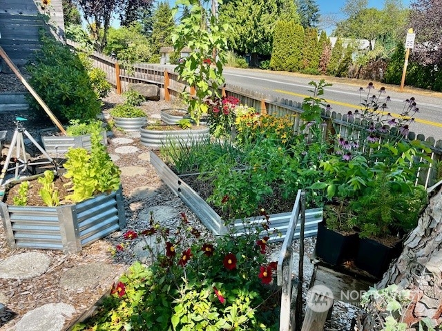 2028 Northeast 12th Street Renton, WA 98056 - Photo 34 of 40 a backyard of a house with lots of green space and plants