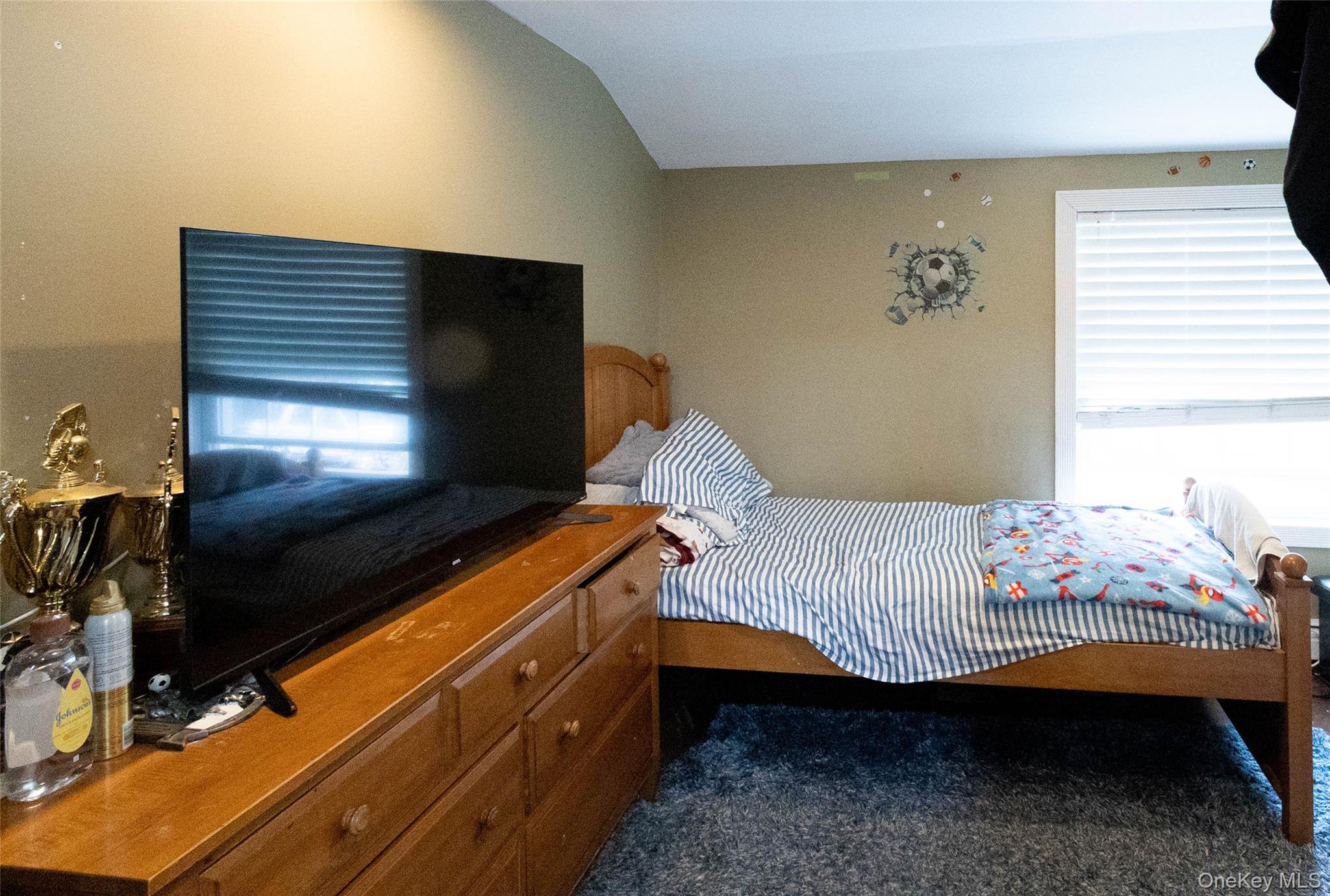 151 Cheltenham Road West Babylon, NY 11704 - Photo 32 of 42 Image quality insufficient for description