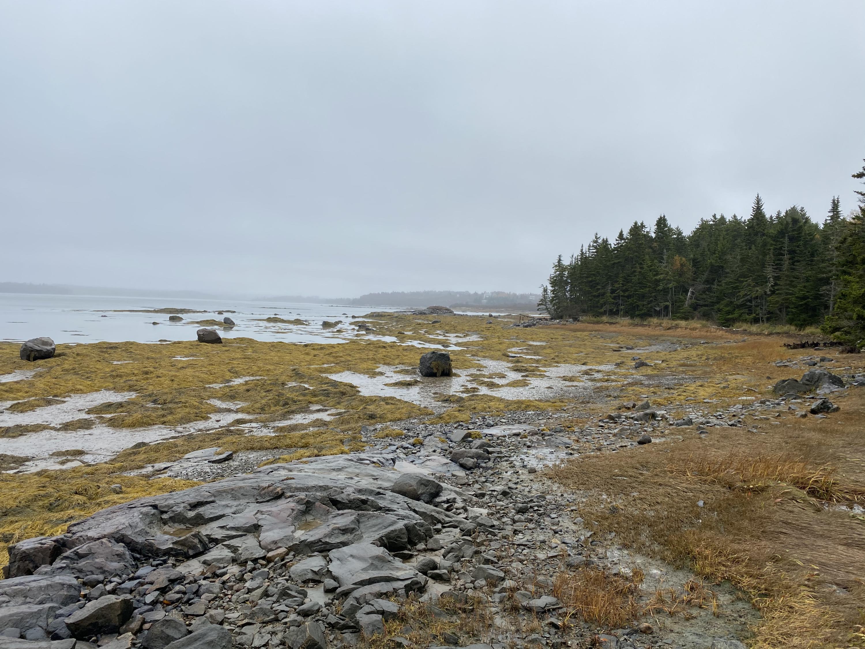 Lot 94 Maker's Point Road Jonesport, ME 04649 - Photo 1 of 12 Photo Oct 21, 11 29 45 AM