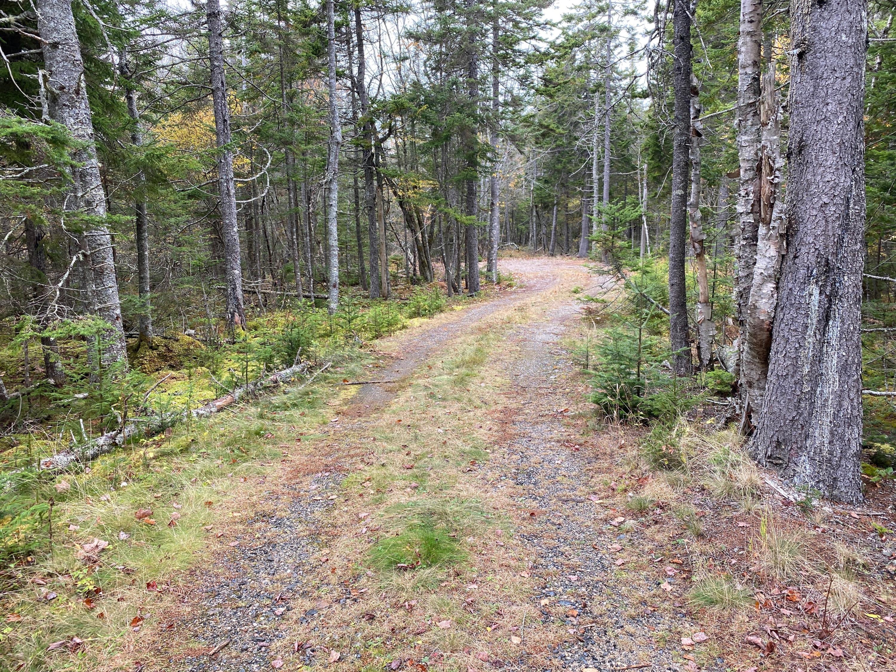 Lot 94 Maker's Point Road Jonesport, ME 04649 - Photo 2 of 12 Photo Oct 21, 11 22 48 AM
