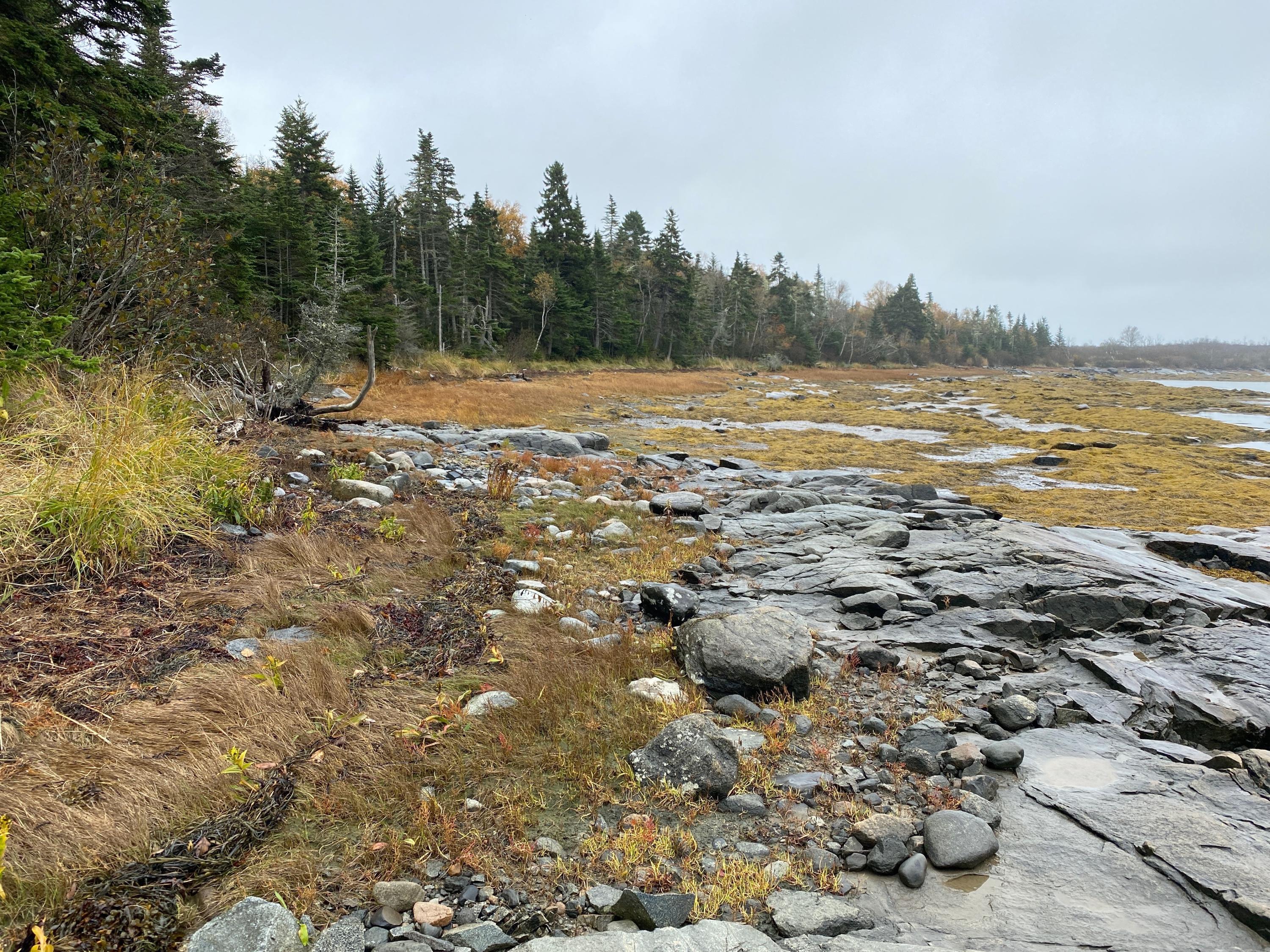 Lot 94 Maker's Point Road Jonesport, ME 04649 - Photo 5 of 12 Photo Oct 21, 11 33 09 AM