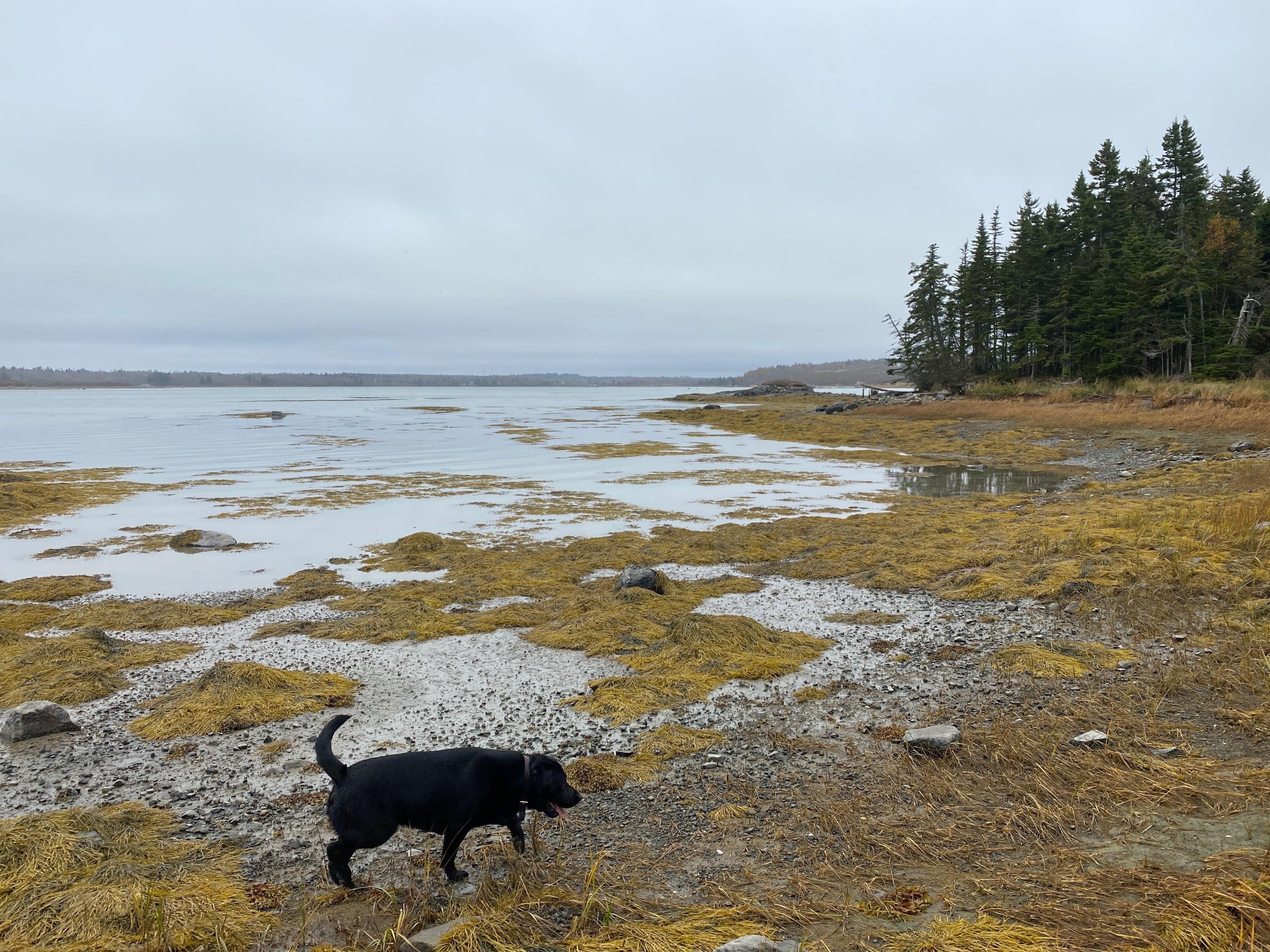 Lot 94 Maker's Point Road Jonesport, ME 04649 - Photo 9 of 12 Photo Oct 21, 12 17 11 PM
