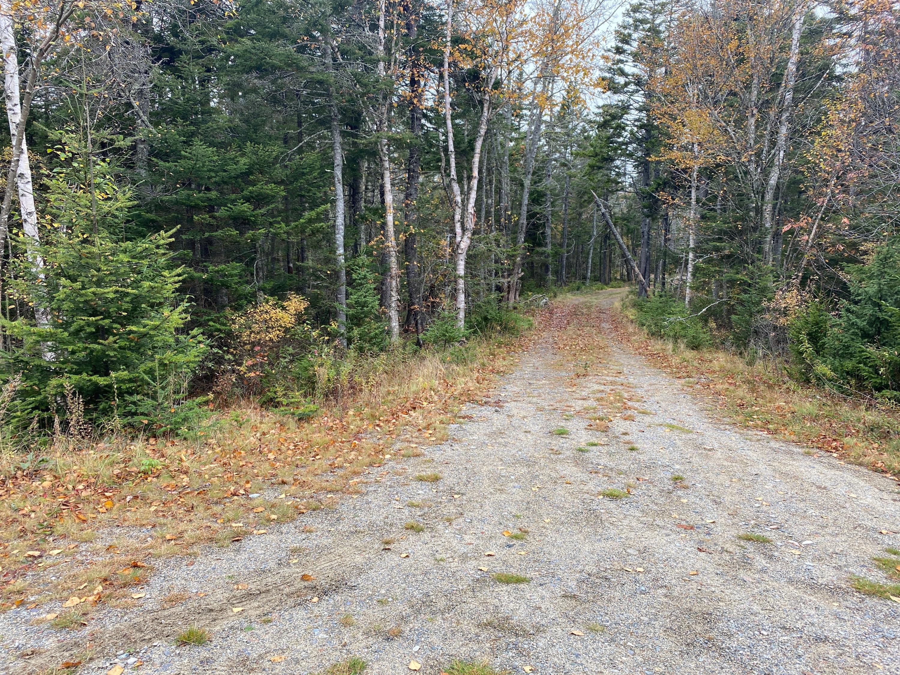 Lot 94 Maker's Point Road Jonesport, ME 04649 - Photo 10 of 12 Photo Oct 21, 12 22 32 PM
