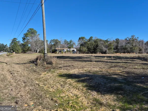 a view of a yard