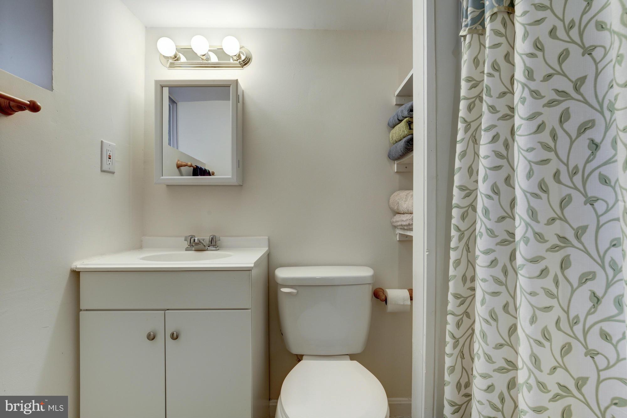 30 53rd Street Southeast Washington, DC 20019 - Photo 22 of 30 Lower Level Full Bath