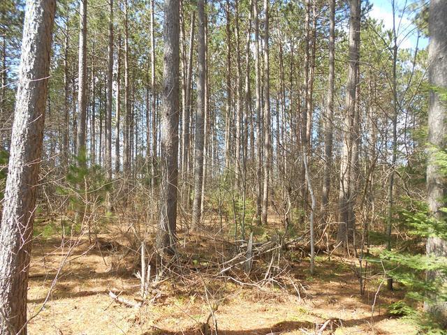 On Towering Pines Lane, Unit LOT 7 Rhinelander, WI 54501 - Photo 2 of 7 Gallery Image 2