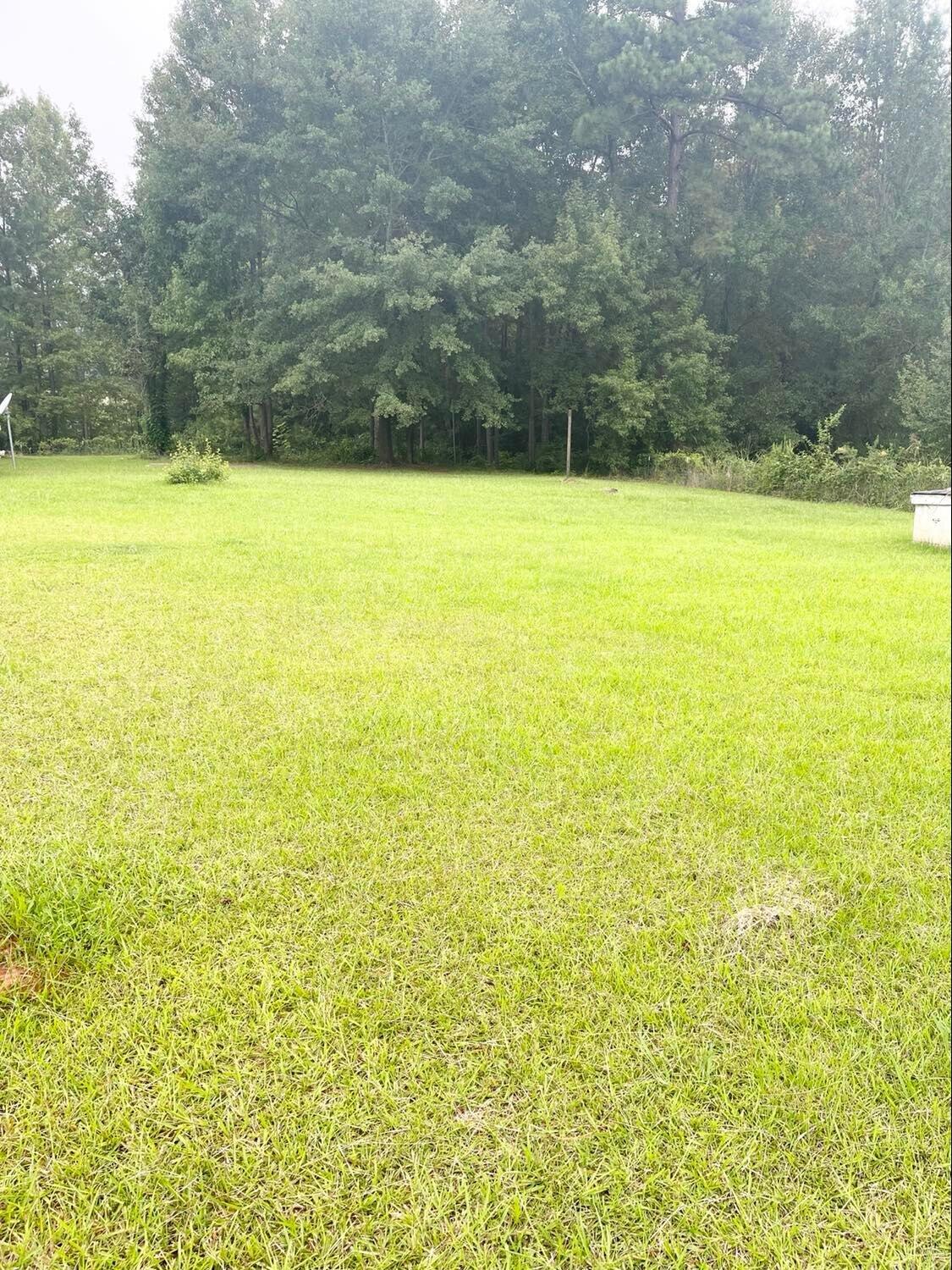 19 Bland Baptist Road Johnston, SC 29832 - Photo 21 of 22 Gallery Image 21