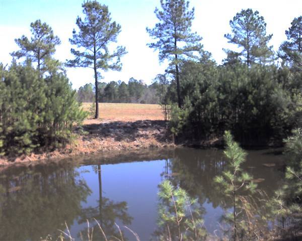 Tbd North Horace Walters Road Raeford, NC 28376 - Photo 1 of 4 Primary Photo