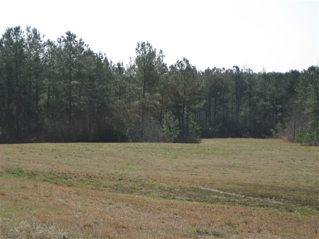 Tbd North Horace Walters Road Raeford, NC 28376 - Photo 3 of 4 Additional Photo