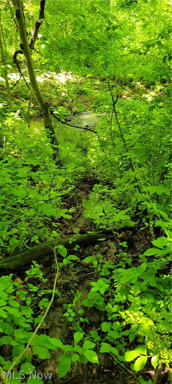 Hollis Clark Road Caldwell, OH 43724 - Photo 31 of 49