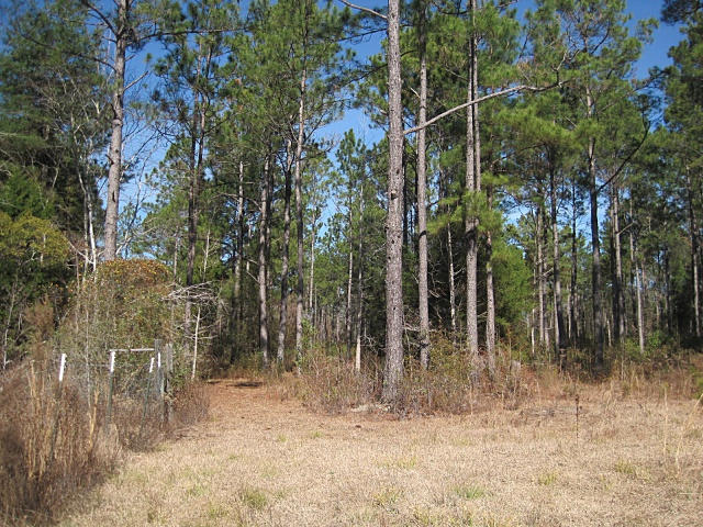 1520 Perry Smith Road Baker, FL 32531 - Photo 22 of 27 Gallery Image 22