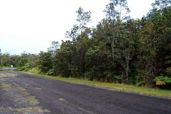 8th Street Volcano, HI 96785 - Photo 3 of 5 Gallery Image 3