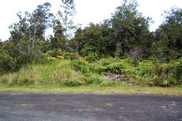 8th Street Volcano, HI 96785 - Photo 4 of 5 Gallery Image 4
