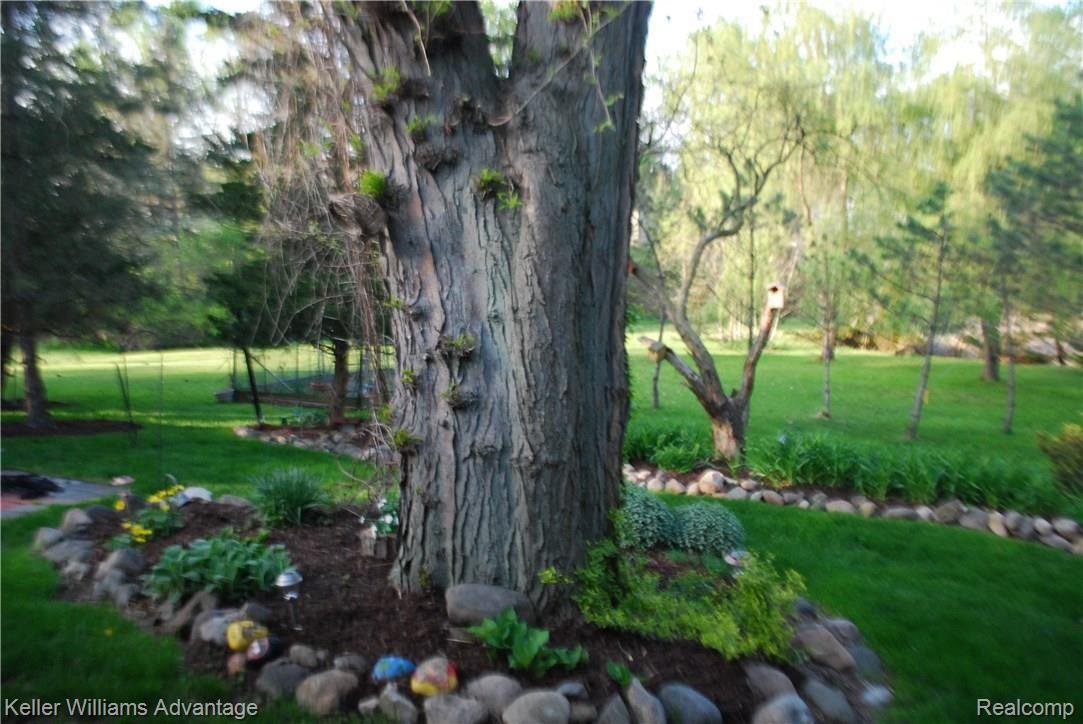 29930 Barwell Road Farmington, MI 48334 - Photo 44 of 45 DSC_8740.JPG