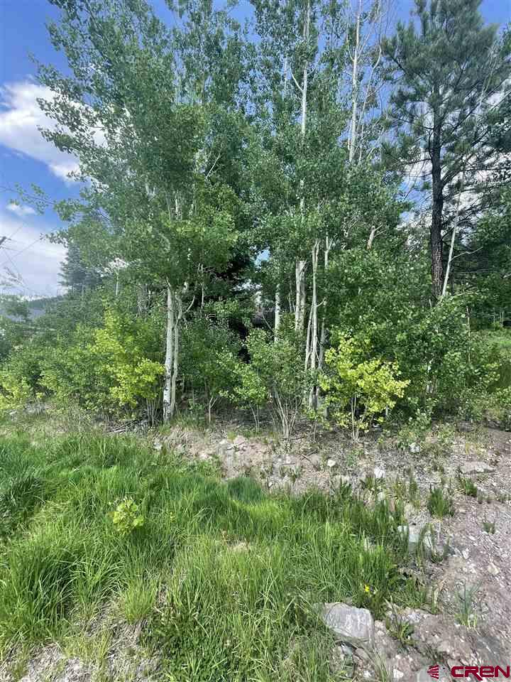 201 East Mantz Avenue Rico, CO 81332 - Photo 15 of 16 Gallery Image 15