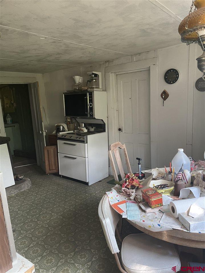 201 East Mantz Avenue Rico, CO 81332 - Photo 5 of 16 Gallery Image 5