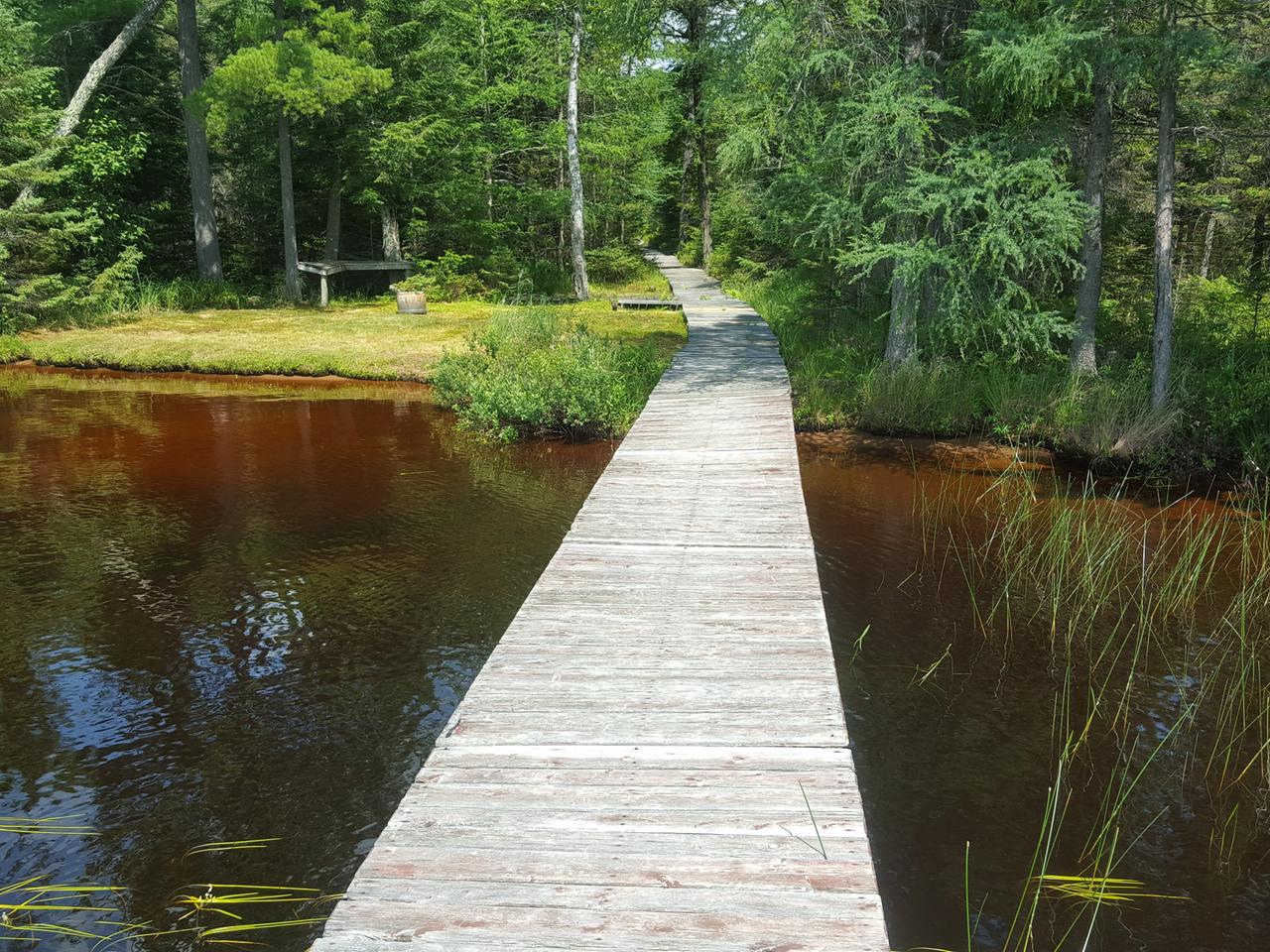 Lot 40 Cw Smith Road Three Lakes, WI 54562 - Photo 15 of 49 Gallery Image 15
