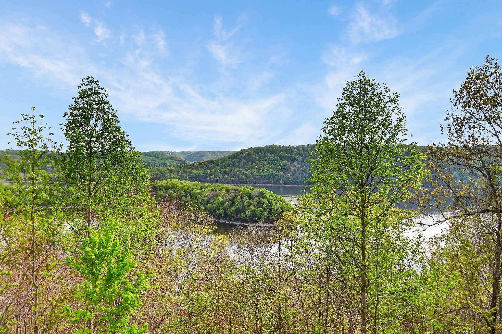 1853 Lafever Ridge Road Silver Point, TN 38582 - Photo 25 of 85