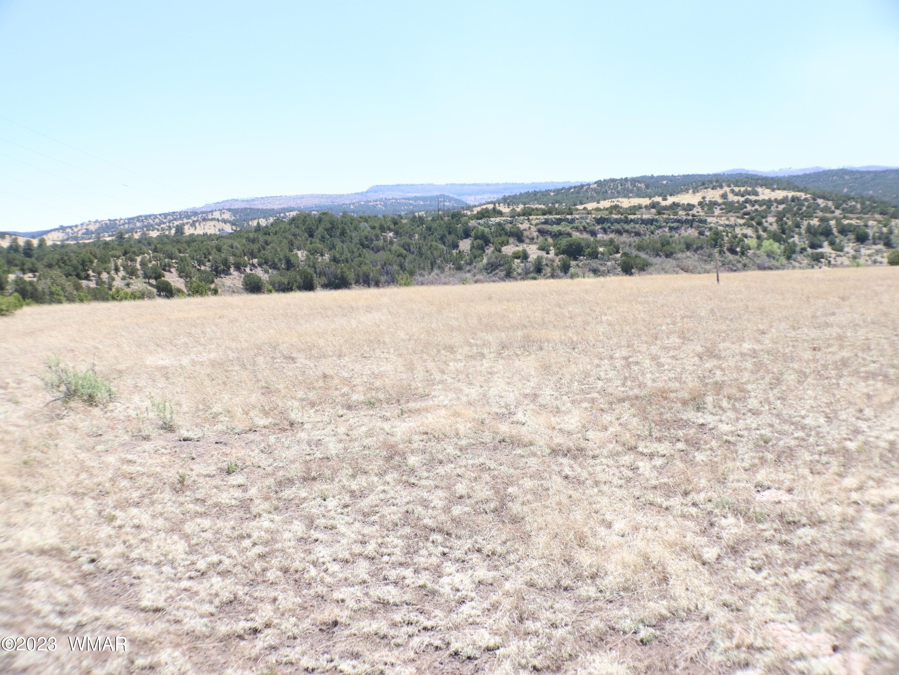 Tbd Tbd Az-261 Street Eagar, AZ 85925 - Photo 5 of 11