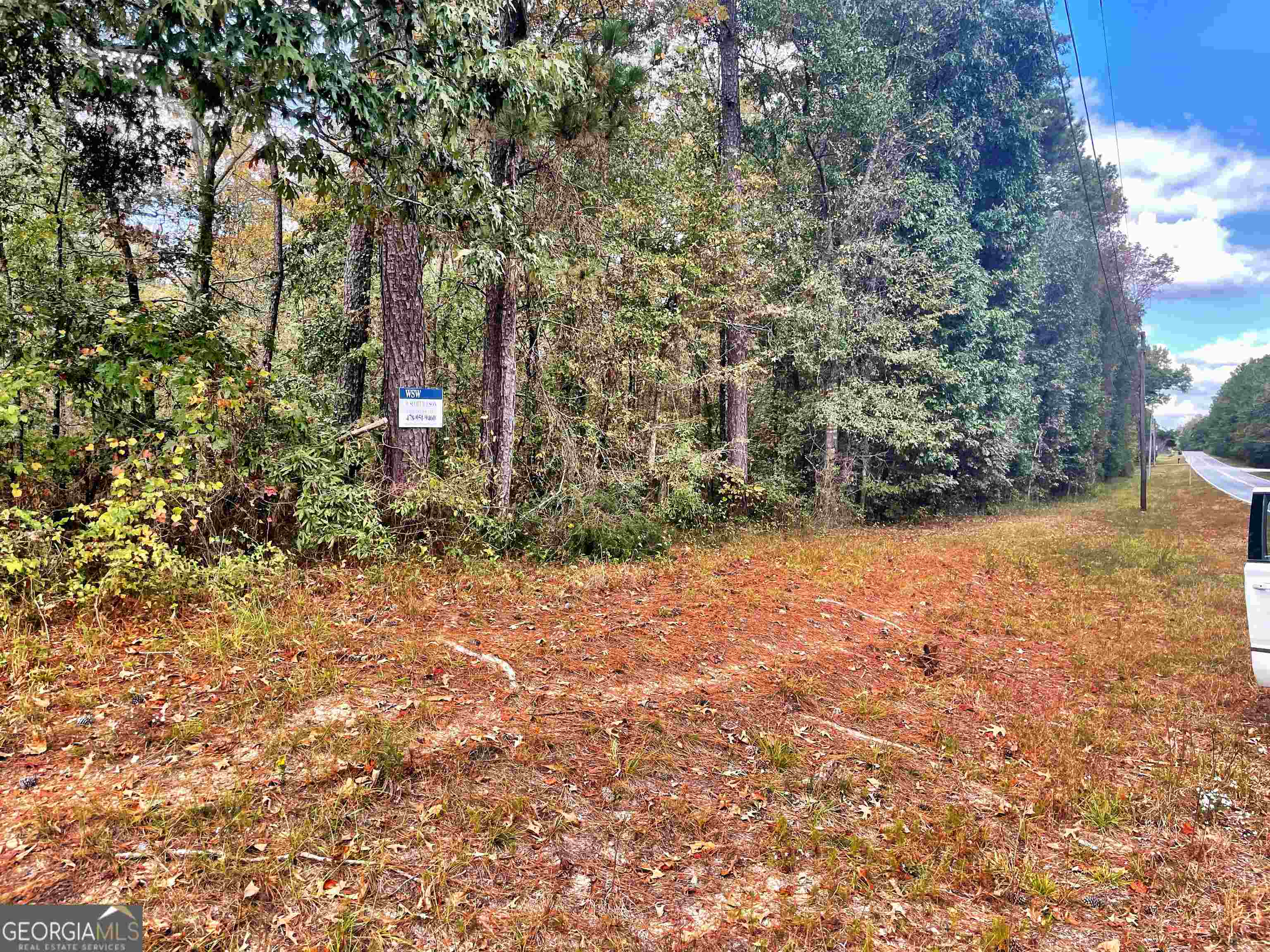 a view of a yard with an trees