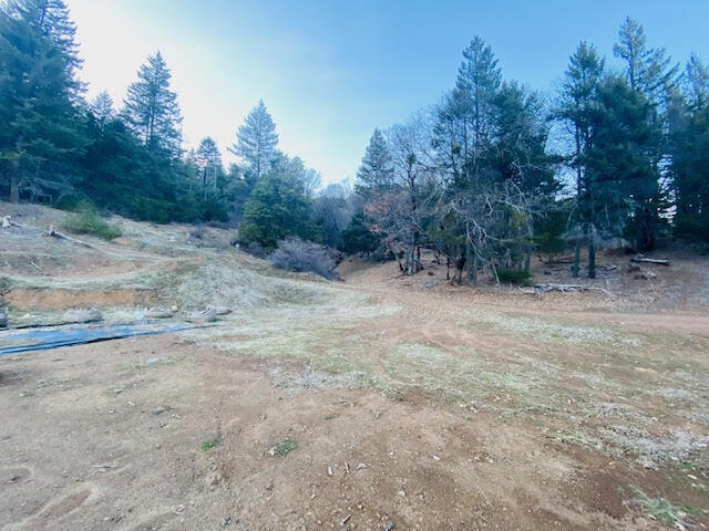 960 Democrat Gulch Road Weaverville, CA 96093 - Photo 7 of 8 Democrat (7)