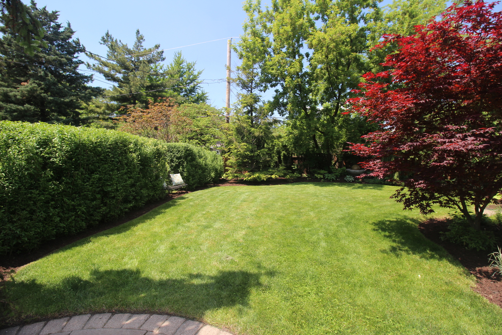 256 Blackhawk Road Riverside, IL 60546 - Photo 63 of 73 a view of outdoor space