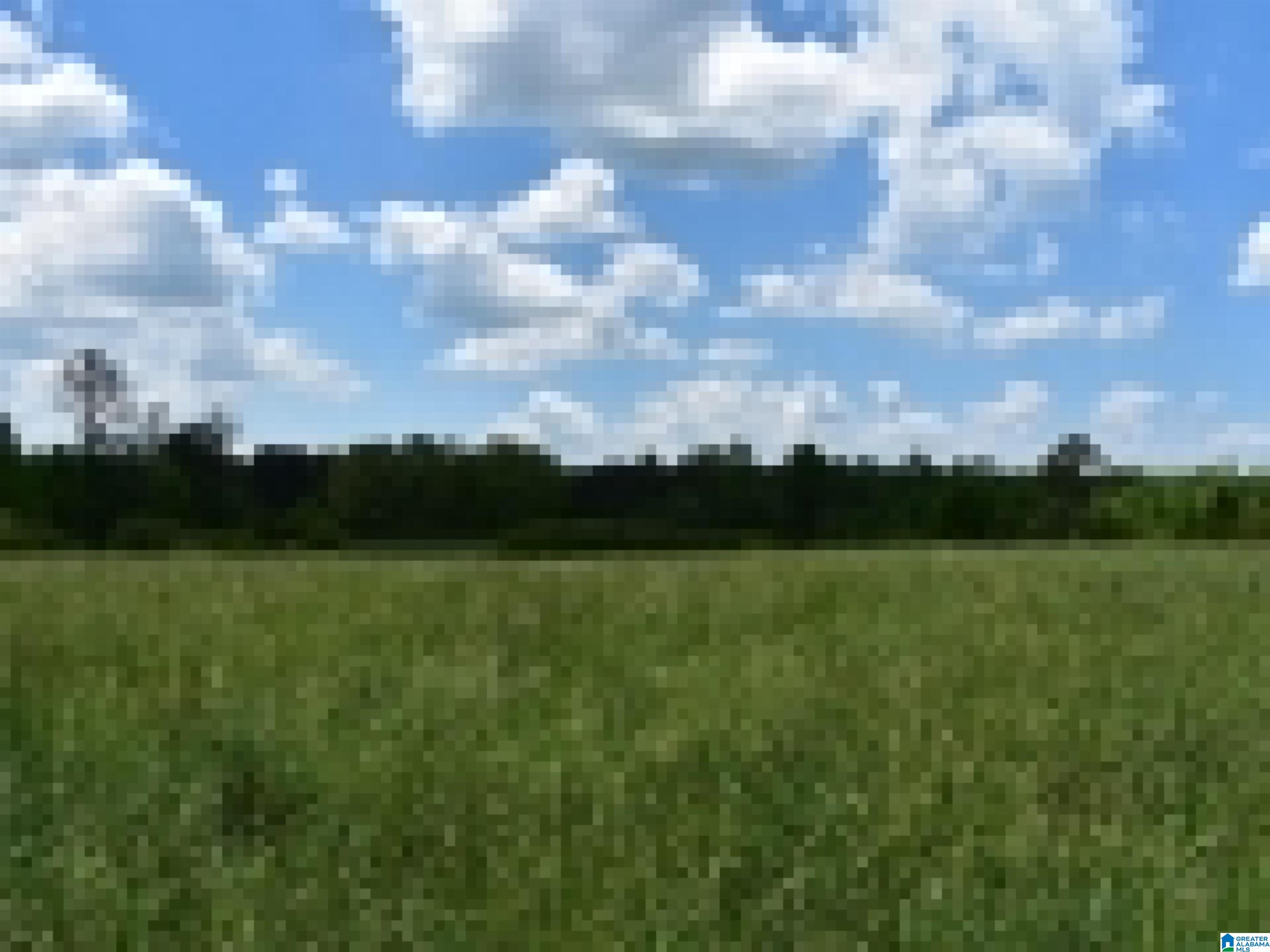 0 County Road 141, Unit 1 Ider, AL 35981 - Photo 28 of 29