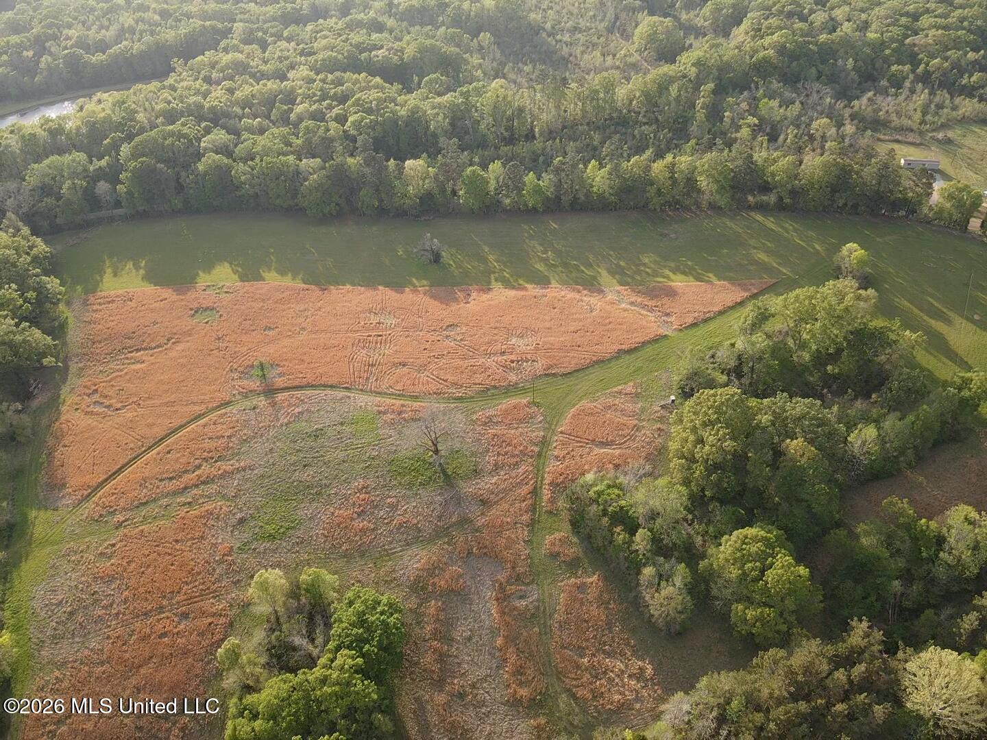 0 Newman Road Edwards, MS 39066 - Photo 1 of 18 2026-03-30-18-09-53-789