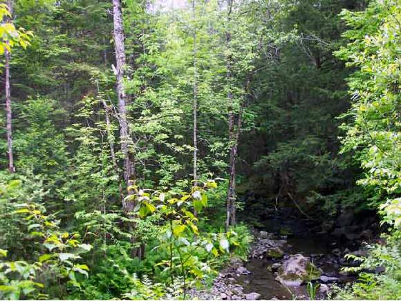 0 Trestle Road Danville, VT 05828 - Photo 1 of 1 Gallery Image 1