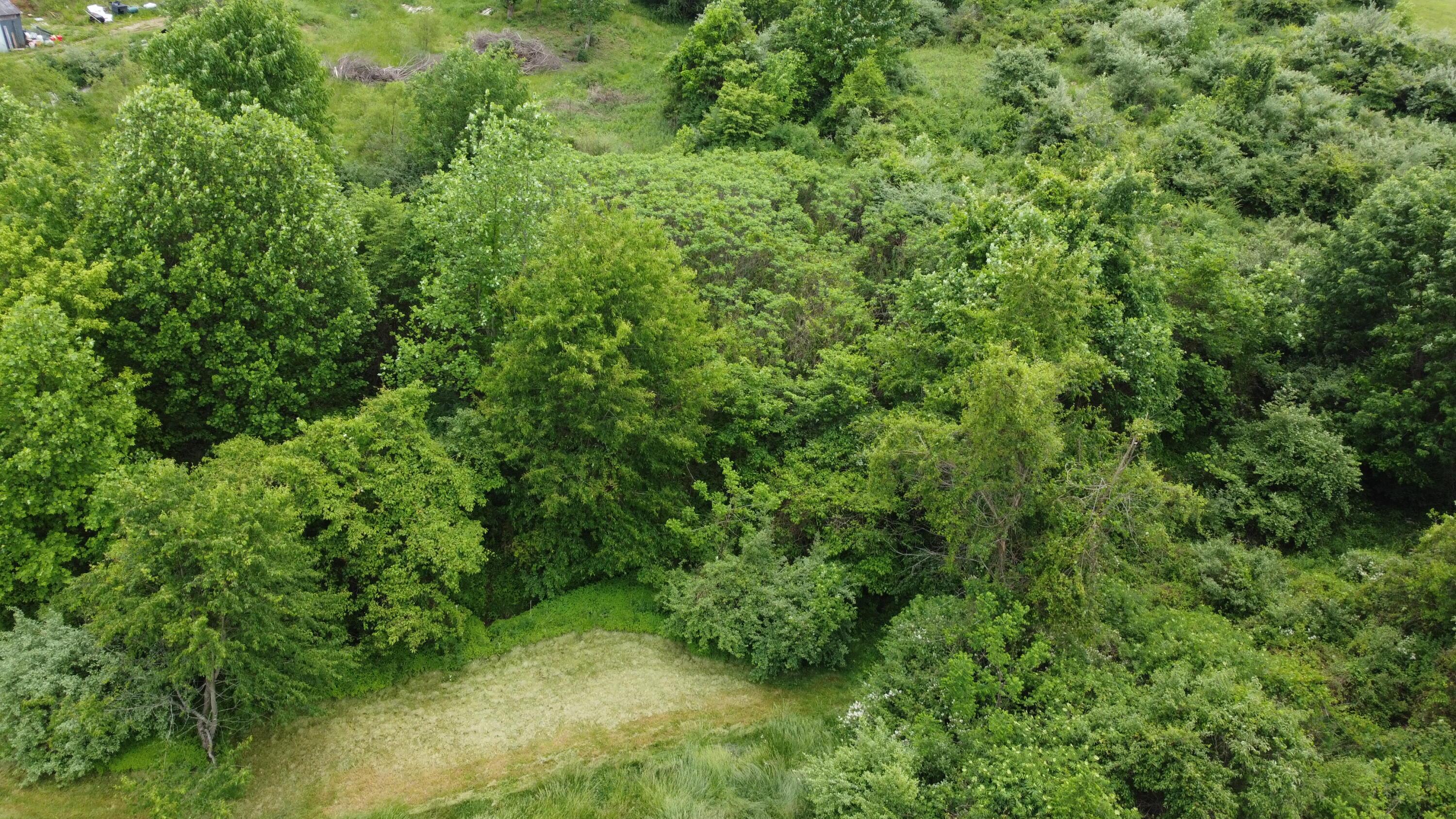 4311 Pine Grove Road Southwest Amanda, OH 43102 - Photo 43 of 43 DJI_0644