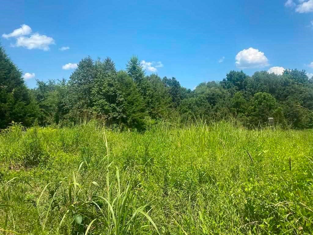 Lot 11 Hamilton-lee Road Lewisburg, KY 42256 - Photo 19 of 44 Gallery Image 19