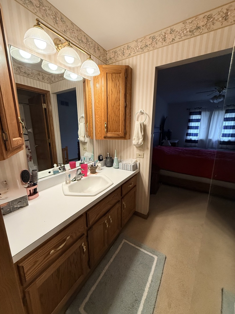 804 Deer Path Lane Elwood, IL 60421 - Photo 11 of 23