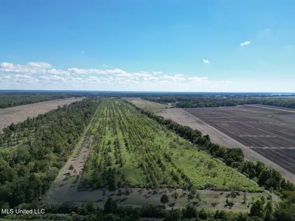 $346,000 | 1195 Highway 570, Waterproof, LA 71375