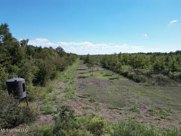 $346,000 | 1195 Highway 570, Waterproof, LA 71375