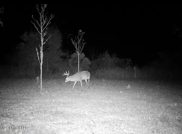 $346,000 | 1195 Highway 570, Waterproof, LA 71375